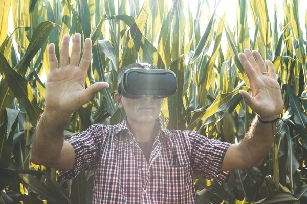 Hombre de negocios agricultor moderno analizando la tendencia de crecimiento con virtua — Foto de Stock