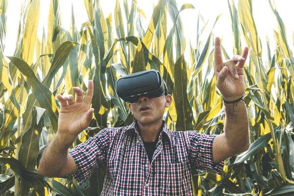 Moderno imprenditore agricolo analizzando il trend di crescita con virtua — Foto Stock