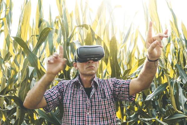 Moderno imprenditore agricolo analizzando il trend di crescita con virtua — Foto Stock