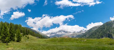 Dolomite dağlarının eteğindeki yeşil bir vadinin panoramik görüntüsü