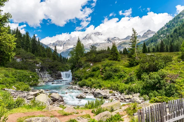 Pittoreska Landskap Bäck Omgiven Bergen Dolomiterna Sommaren — Stockfoto