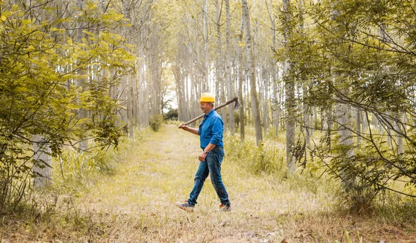 Επαγγελματίας Ξυλοκόπος Περπατάει Στο Δάσος Ένα Τσεκούρι Στον Ώμο Του — Φωτογραφία Αρχείου
