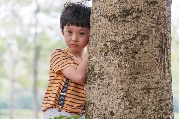 公園の木の後ろに混じった人種の少年が隠れている 小さなかわいい子供は木の後ろから外を見て かくれんぼをしたり 公園で探したりします 自然を背景に大きな木を抱きしめる小さな男の子の手 — ストック写真