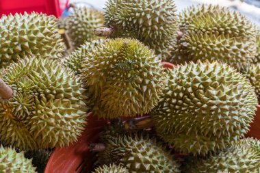 Tayland 'daki markette bir grup taze Durian. Pazar yerindeki meyve tropikal Durian 'ın kralı Durian büfe festivalinin tadını aldı..