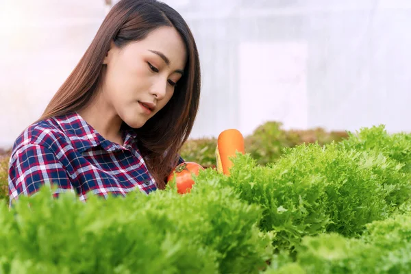 Ung Bonde Kvinna Kontrollerar Färsk Sallad Ekologisk Grönsak Växthuset Hydroponic — Stockfoto