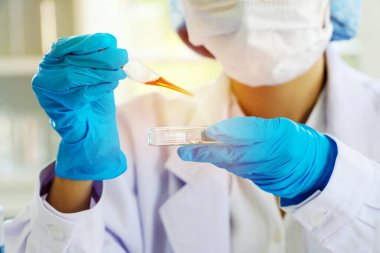 Profesyonel biyoloji bilimcisi genç bir kadın laboratuarda deney yaparken üzerinde turuncu sıvı bulunan pipetle mavi eldiven giyiyor.. 
