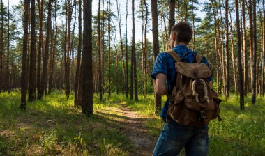Mavi ekose gömlekli ve sırt çantalı genç bir adam kozalaklı ormanda yürüyor.