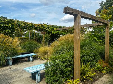 Mavi ahşap bankları ve uzun otları olan bahçe köşesi. Kırsal pergola oturma alanını çerçeveler. Zemin taş kiremitlerle döşenmiş.