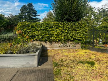 Çatı katlı çevre dostu bir bahçe. Boynuz kirişli bir çit ve bitkilerle ve çiçek açan ortancalarla yükseltilmiş yataklar.