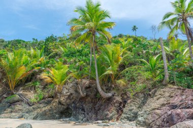 Güzel bir plaj ve doğa Itacare Bahia Brezilya yakınındaki