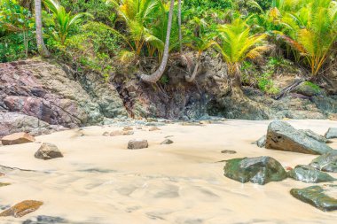 Güzel bir plaj ve doğa Itacare Bahia Brezilya yakınındaki