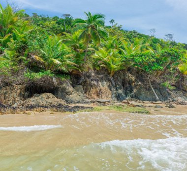 Soldaki doğa tarafından yapılan doğal bitki örtüsü canavar yüz içinde