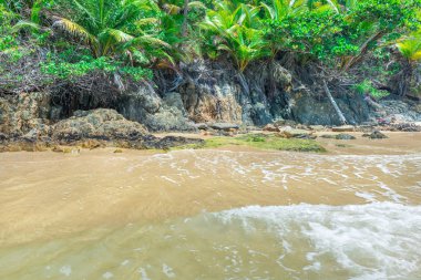Bahia eyalet Brezilya Itacarezinho harika kumsalda görünümünü