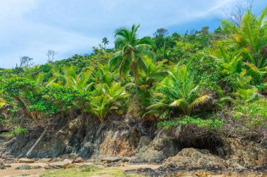 Doğa sağ tarafından yapılan doğal bitki örtüsü canavar yüz içinde