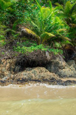 Soldaki doğa tarafından yapılan doğal bitki örtüsü canavar yüz içinde