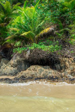 Doğa sağ tarafından yapılan doğal bitki örtüsü canavar yüz içinde