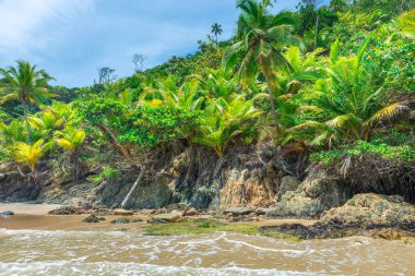 Bahia eyalet Brezilya Itacarezinho harika kumsalda görünümünü
