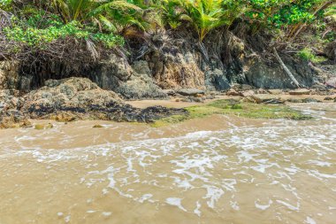 Güney Amerika tropikal güneşli alan güzel plaj manzarası