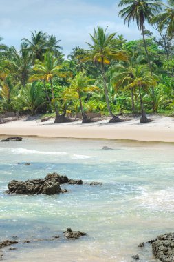 Bahia eyalet Brezilya Itacarezinho harika kumsalda görünümünü