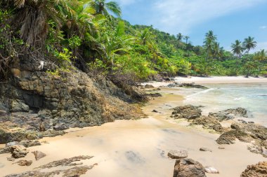 Güney Amerika tropikal güneşli alan güzel plaj manzarası