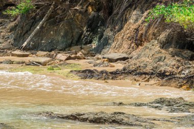 Bahia eyalet Brezilya Itacarezinho harika kumsalda görünümünü