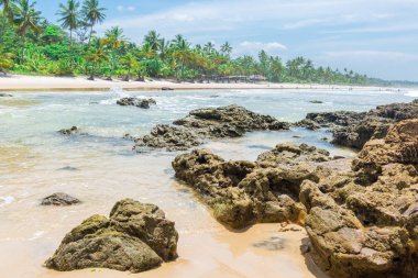Güney Amerika tropikal güneşli alan güzel plaj manzarası