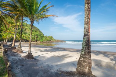 Güzel bir plaj ve doğa Itacare Bahia Brezilya yakınındaki