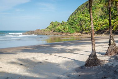 Güzel bir plaj ve doğa Itacare Bahia Brezilya yakınındaki
