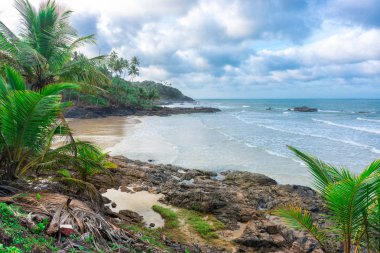 Geç öğleden sonra doğada kayalık bir Beach şaşırtıcı görünümü