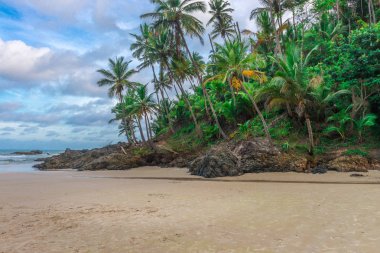 Havaizinho kayalık geç öğleden sonra kumsalda güzel görünüm