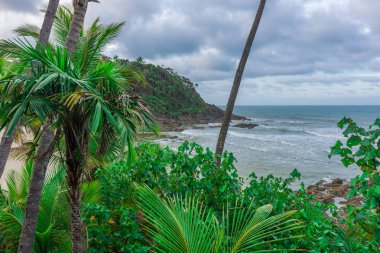 Bahia Itacare yakınındaki Gamboa Beach'te öğleden sonra ışık altında