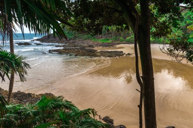Bahia Itacare yakınındaki Gamboa Beach'te öğleden sonra ışık altında