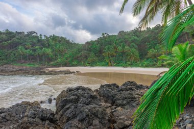 Bahia Itacare yakınındaki Gamboa Beach'te öğleden sonra ışık altında