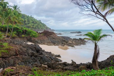 Havaizinho kayalık geç öğleden sonra kumsalda güzel görünüm