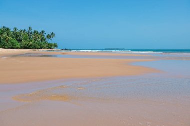 Arka plan olarak güzel güneşli izole Cennet plaj