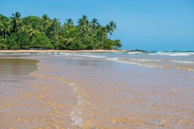 Düşük açılı görünümü barra grande beach Ponta do Muta Brezilya