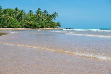 Arka plan olarak güzel güneşli izole Cennet plaj