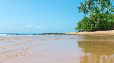 Ponta do Muta Brezilya bulunan şaşırtıcı barra grande beach