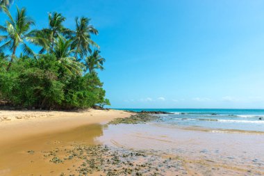 Arka plan olarak güzel güneşli izole Cennet plaj