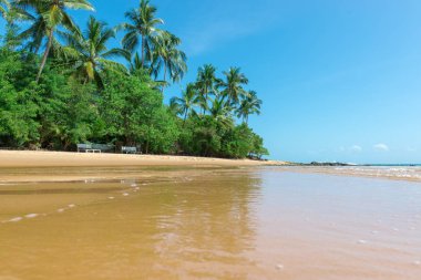 Düşük açılı görünümü barra grande beach Ponta do Muta Brezilya