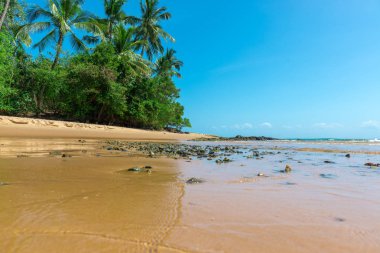 Ponta do Muta Brezilya bulunan şaşırtıcı barra grande beach