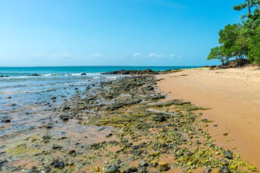 Ponta do Muta Brezilya bulunan şaşırtıcı barra grande beach