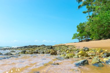 Ponta do Muta Brezilya bulunan şaşırtıcı barra grande beach