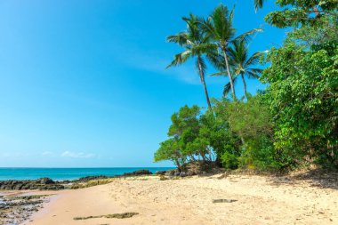 Ponta do Muta Brezilya bulunan şaşırtıcı barra grande beach