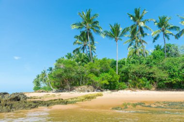 Ponta do Muta Brezilya bulunan şaşırtıcı barra grande beach