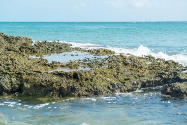 Küçük tuzlu su havuzları ile kıyı tarafından cesur kayalar