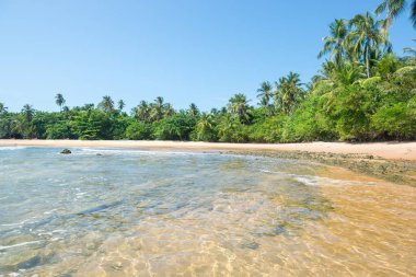 Arka plan olarak güzel güneşli izole Cennet plaj
