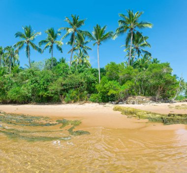 Arka plan olarak güzel güneşli izole Cennet plaj