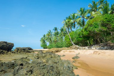 Ponta do Muta Brezilya bulunan şaşırtıcı barra grande beach