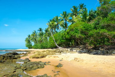 Ponta do Muta Brezilya bulunan şaşırtıcı barra grande beach